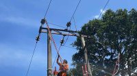 IMG-20241115-WA0020
