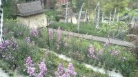 IMG_20250119_205003