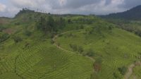 IMG_20250304_174906