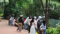 IMG-20251019-WA0003