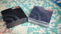 lini bel (1)