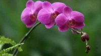 WhatsApp Image 2025-11-12 at 16.31.55