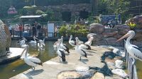 IMG-20260705-WA0004
